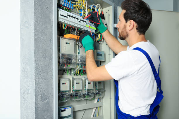 Best Electric Panel Repair  in Carver, MN